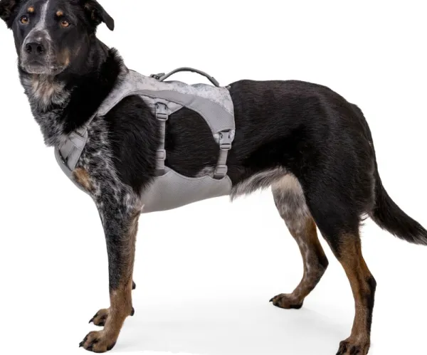 RuffWear Valjaat^Swamp Cooler Harness Graphite Gray (2024)