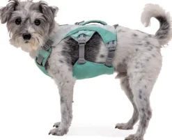 RuffWear Valjaat^Swamp Cooler Harness viilentävät valjaat, pastellinvihreä