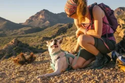 RuffWear Valjaat^Swamp Cooler Harness viilentävät valjaat, pastellinvihreä