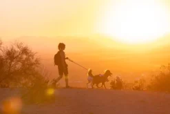 RuffWear Valjaat^Swamp Cooler Harness viilentävät valjaat, pastellinvihreä