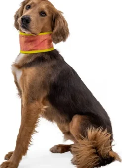 RuffWear Viilennys Ja Aurinkosuoja^Swamp Cooler Neck Gaiter koirien viilennyskauluri