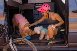 RuffWear Viilennys Ja Aurinkosuoja^Swamp Cooler Neck Gaiter koirien viilennyskauluri