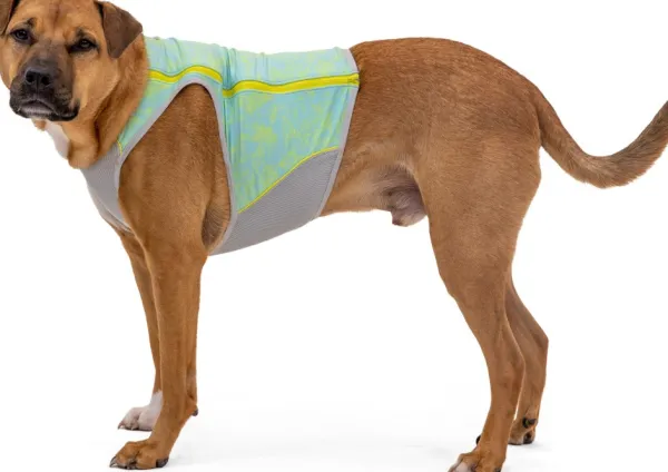 RuffWear Swamp Cooler Zip Vest koiran viilentävä liivi| Viilennys Ja Aurinkosuoja