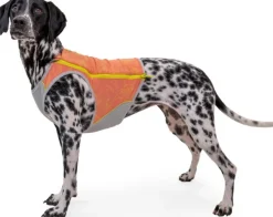 RuffWear Viilennys Ja Aurinkosuoja^Swamp Cooler Zip Vest koiran viilentävä liivi