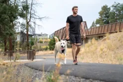 RuffWear Taluttimet^Switchbak Leash talutushihna, harmaa