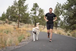 RuffWear Taluttimet^Switchbak Leash talutushihna, harmaa