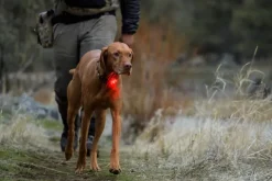 RuffWear The Beacon huomiovalo, Clear Lake| Vilkkuvalot Ja Huomiotuotteet