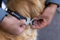 RuffWear Kaulapannat^Top Rope Collar koiran kaulapanta, Basalt Gray