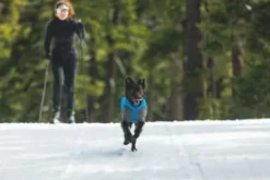 RuffWear Vert Coverall koiran talvihaalari, M-XL, Blue Pool| Talvitakit