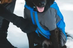 RuffWear Vert Coverall koiran talvihaalari, M-XL, Blue Pool| Talvitakit