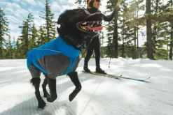 RuffWear Vert Coverall koiran talvihaalari, M-XL, Blue Pool| Talvitakit