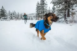 RuffWear Vert Jacket koiran takki, XXS-S, Blue Pool| Talvitakit