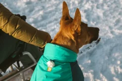 RuffWear Vert koiran talvitakki, Aurora Teal| Talvitakit