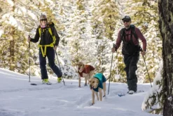 RuffWear Vert koiran talvitakki, Aurora Teal| Talvitakit