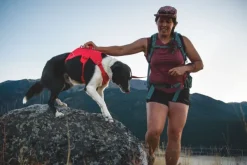 RuffWear Web Master Harness River Rock Green| Valjaat