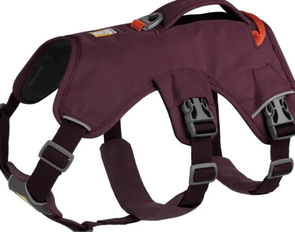 RuffWear Valjaat^Web Master Harness valjaat, Purple Rain