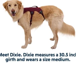 RuffWear Valjaat^Web Master Harness valjaat, Purple Rain