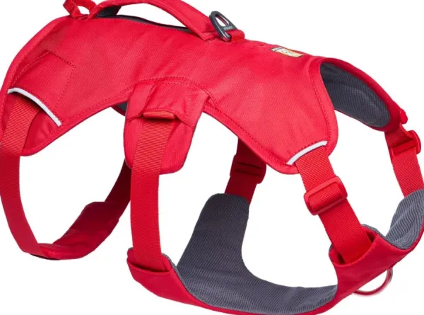 RuffWear Valjaat^Web Master Harness Red Canyon