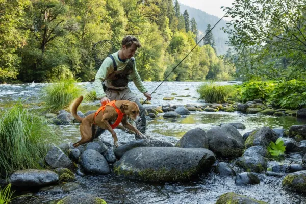 RuffWear Valjaat^Web Master Harness Red Canyon