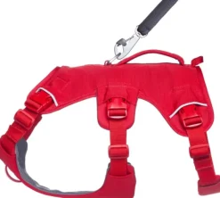 RuffWear Valjaat^Web Master Harness Red Canyon