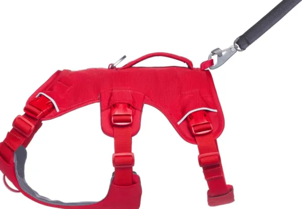 RuffWear Valjaat^Web Master Harness Red Canyon