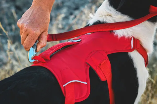RuffWear Valjaat^Web Master Harness Red Canyon