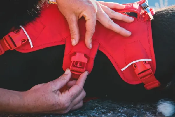 RuffWear Valjaat^Web Master Harness Red Canyon