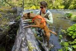 RuffWear Valjaat^Web Master Harness Basalt Gray