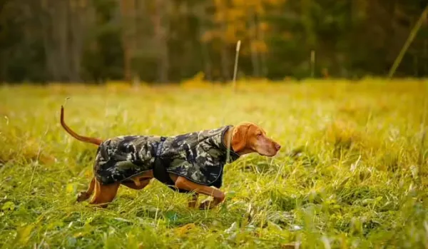 Rukka Comfy Pile Jacket Camo 50 cm| Sadetakit