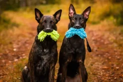 Rukka Fluffy Toy Turquoise| Aktivointilelut