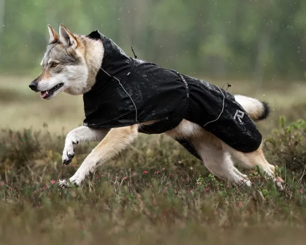 Rukka Sadetakit^Hayton X Raincoat Black 25-30 cm