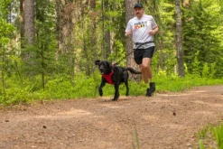 Rukka Valjaat^Hike Harness Red XS