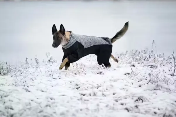 Rukka Neuletakit^Subrima Knit Overall Black 25-30 cm