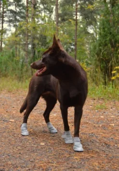 Rukka Koiran Tossut^Summer Shoes 2 pcs Gray size 1-2