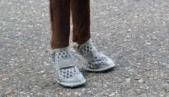 Rukka Summer Shoes 2 pcs Gray size 3-4| Koiran Tossut