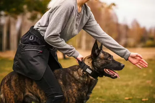 Rukka Training Apron Black| Koiranohjaajan Vaatteet