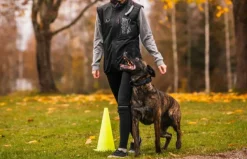 Rukka Koiranohjaajan Vaatteet^Training Vest Black