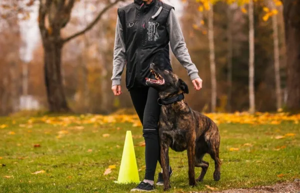 Rukka Koiranohjaajan Vaatteet^Training Vest Black