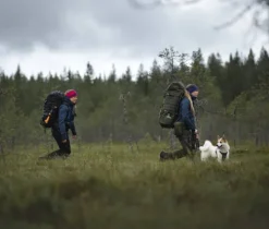 Savotta Metsästysreput^Jääkäri L -rinkka 60 l, vihreä