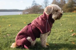 Siccaro Kuivausloimet^Solution kuivausloimi, Zinfandel Red 50 (L)