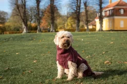 Siccaro Kuivausloimet^Solution kuivausloimi, Zinfandel Red 50 (L)