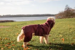 Siccaro Kuivausloimet^Solution kuivausloimi, Zinfandel Red 50 (L)