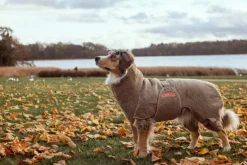 Siccaro Solution kuivausloimi, Sand 70 (XXL)| Kuivausloimet