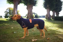 Siccaro Turkinhoito^SupremePro 2.0 koiran kuivausloimi, 60 cm, Granit