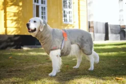 Siccaro SupremePro 2.0 koiran kuivausloimi, 55 cm, vaaleanruskea| Kuivausloimet