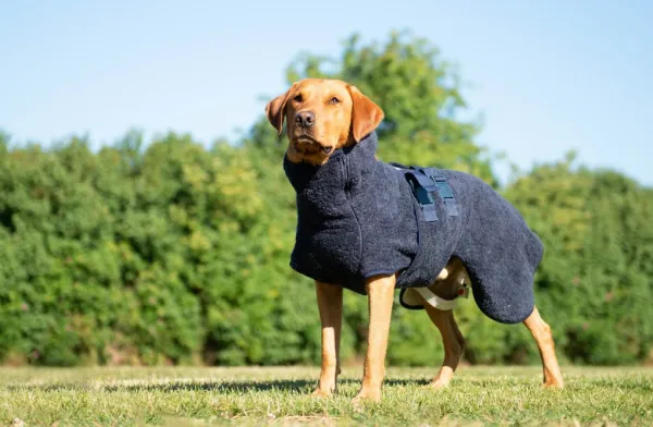 Siccaro WetDog SupremePro koiran kylpytakki, XL graniitinharmaa| Outlet - Koiralle