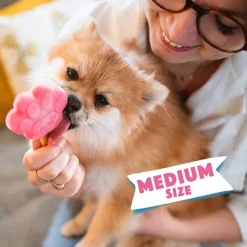 Smoofl Makupalat^Dog Ice Form muotit koiran jäätelölle, M