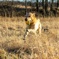 Starmark Aktivointilelut^Foam Boll med Rep M
