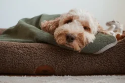 Swaggin Tails Drömmig koiranpeti, M, vaaleanharmaa| Koiranpedit