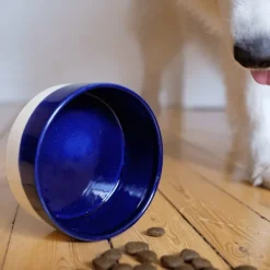 Swaggin Tails Outlet - Koiralle^Käka koirankuppi, 2,5 l kermanvärinen/sininen